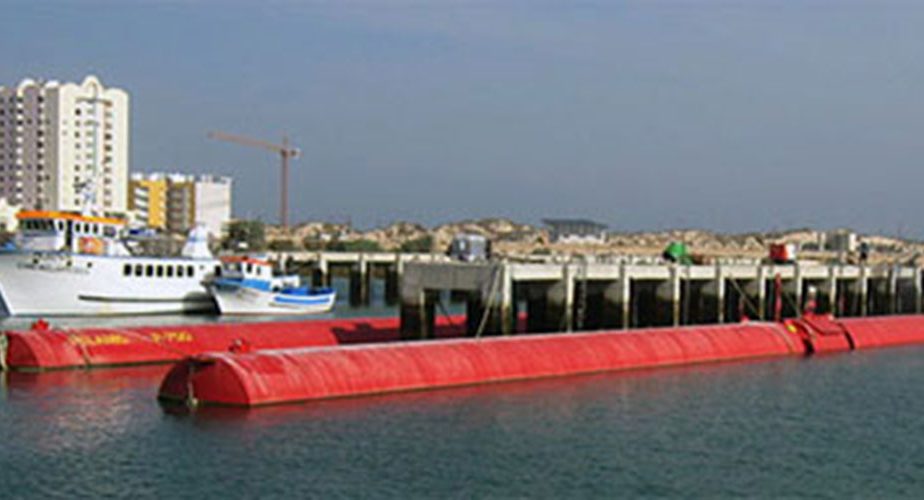 Energie à partir de vagues : des pelamis au Portugal