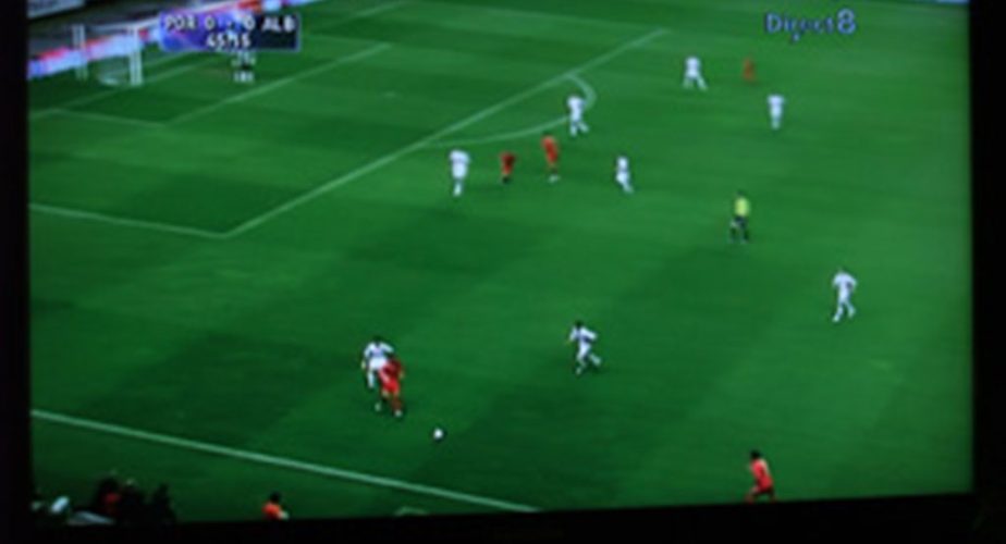 J'ai vu le match Portugal Albanie, qualifs du mondial 2010...