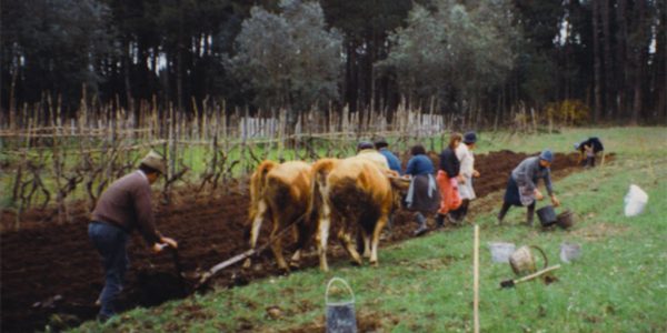 Vie à la campagne : labourer la terre dans l'ancien temps