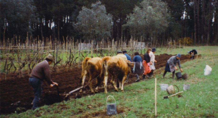 Vie à la campagne : labourer la terre dans l'ancien temps