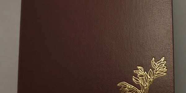 Passeport portugais électronique : simple formalité au consulat