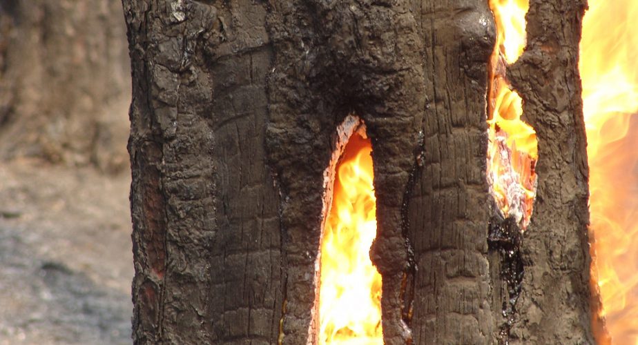 Incendies de forêt au Portugal