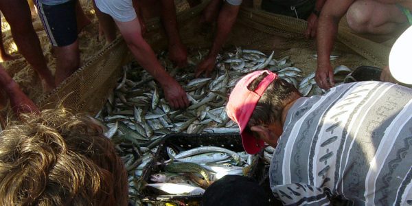 Acheter son poisson sur une plage portugaise