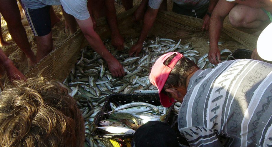 Acheter son poisson sur une plage portugaise