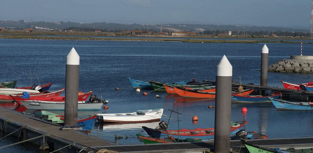 Pêche à la ligne sur le Mondego, Port de Figueira da Foz