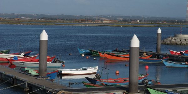 Pêche à la ligne sur le Mondego, Port de Figueira da Foz