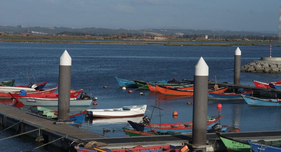 Pêche à la ligne sur le Mondego, Port de Figueira da Foz