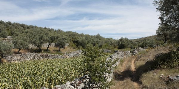 Serra do Sicó à Pombal