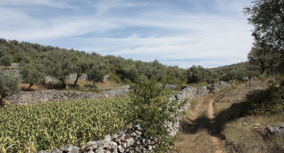 Serra do Sicó à Pombal