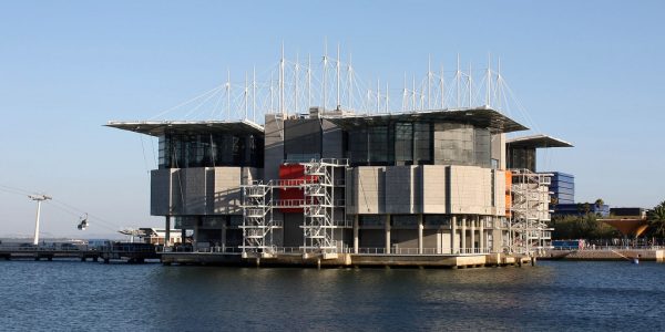 Oceanário : Oceanarium de Lisbonne, plus bel Aquarium d'Europe