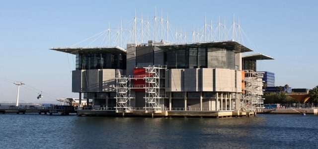 Oceanário : Oceanarium de Lisbonne, plus bel Aquarium d'Europe