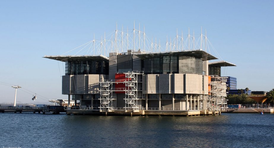 Oceanário : Oceanarium de Lisbonne, plus bel Aquarium d'Europe