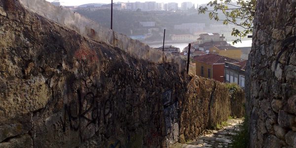 Campo do Rou : campagne en pleine ville de Porto