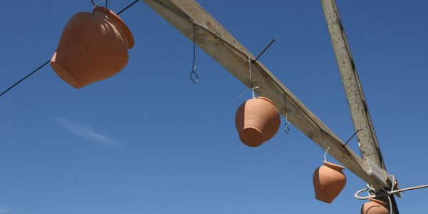 Jeux traditionnels d'une fête de village au Portugal