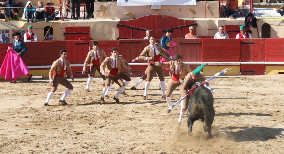 Tourada portuguesa