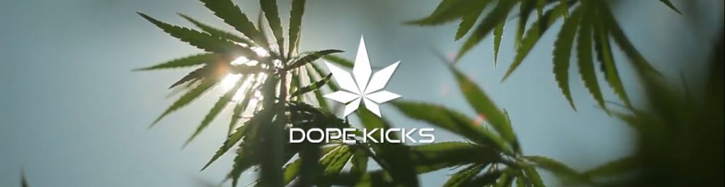 logo dopekicks