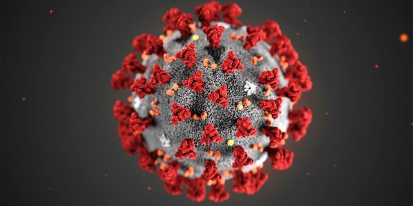 coronavirus