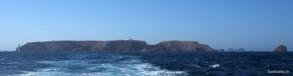 Pour ceux qui aiment vivre isolés, pourquoi pas dans le petit archipel des Berlengas? Sur la photo, les falaises de son île principale, Berlenga Grande, surmontées du phare.