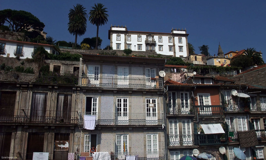 A Porto, les anciens palais se mêlent aux palmiers et aux immeubles populaires, toujours avec un ciel bleu magnifique.