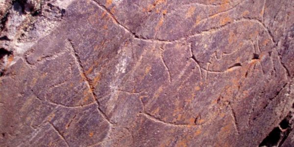 gravure rupestre - Vale do Côa