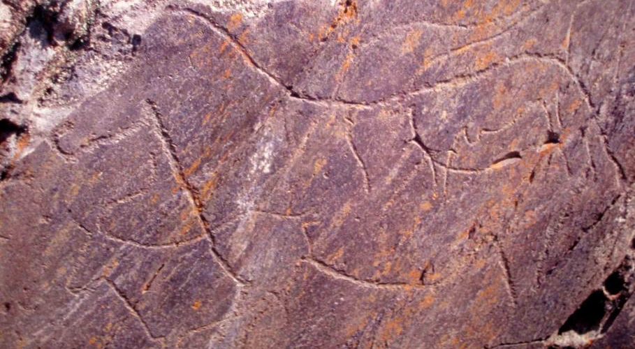 gravure rupestre - Vale do Côa