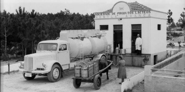 Point de collecte du lait