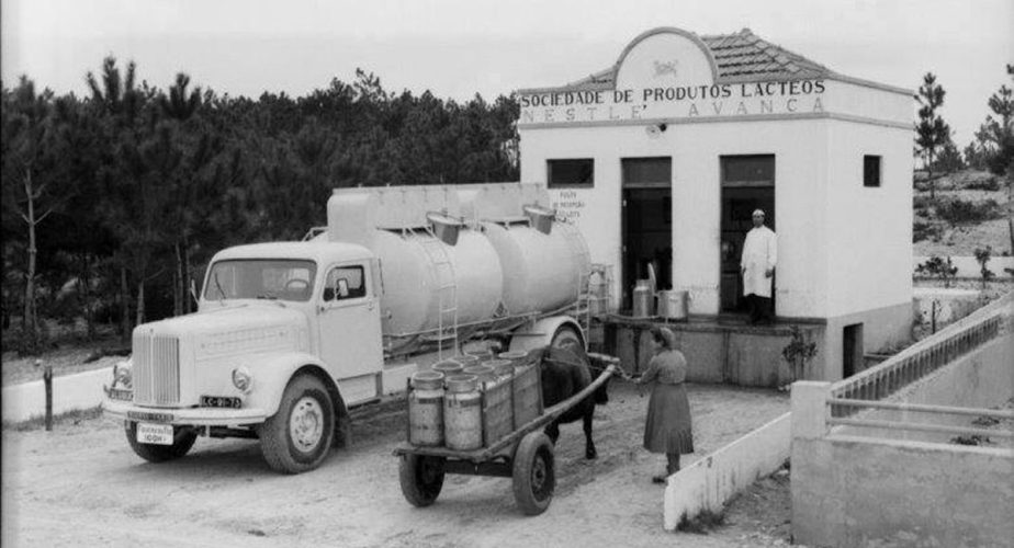 Point de collecte du lait