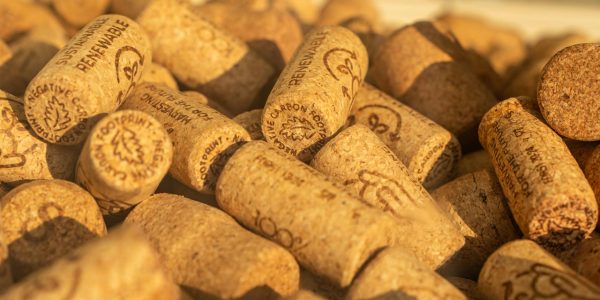 Artemis II : le Portugal mis en avant pour sa contribution en liège (et autres infos)