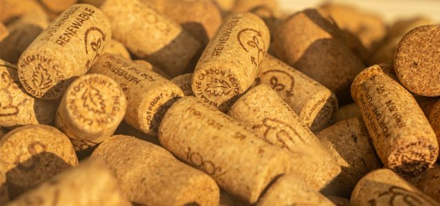 Artemis II : le Portugal mis en avant pour sa contribution en liège (et autres infos)