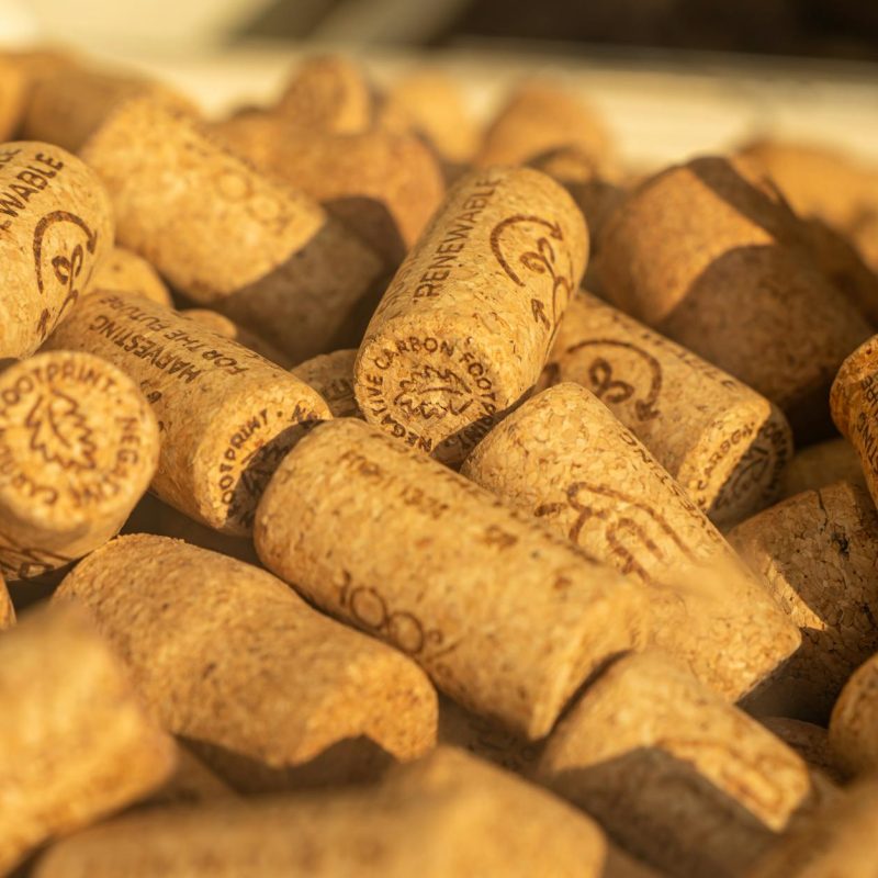 Artemis II : le Portugal mis en avant pour sa contribution en liège (et autres infos)