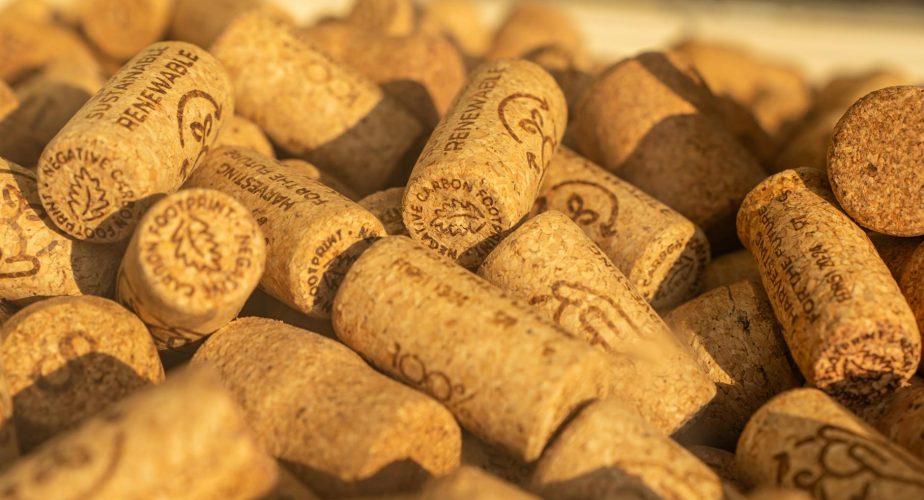 Artemis II : le Portugal mis en avant pour sa contribution en liège (et autres infos)