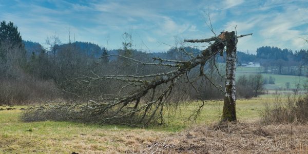 Seguro entame une présidence ouverte dans les zones touchées par les tempêtes (et autres infos)