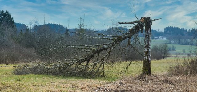 Seguro entame une présidence ouverte dans les zones touchées par les tempêtes (et autres infos)