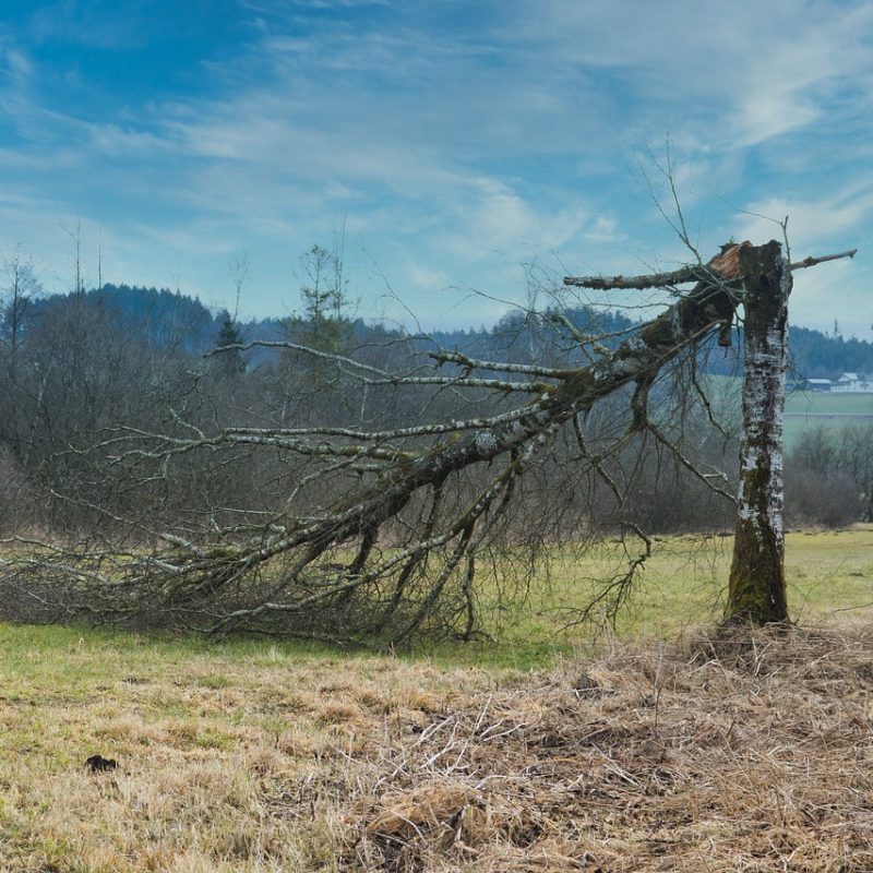 Seguro entame une présidence ouverte dans les zones touchées par les tempêtes (et autres infos)