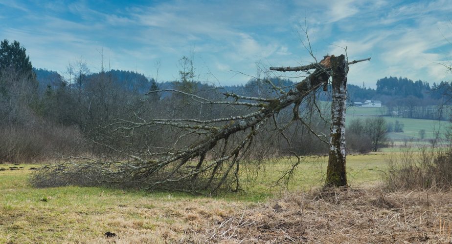 Seguro entame une présidence ouverte dans les zones touchées par les tempêtes (et autres infos)