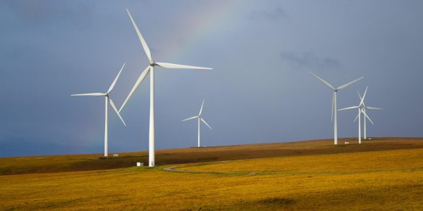 Le Portugal en avance sur ses objectifs climatiques de 2030 (et autres infos)