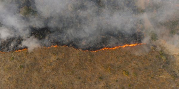 Vague de chaleur et risque maximal d’incendie dans le continent (et autres infos)