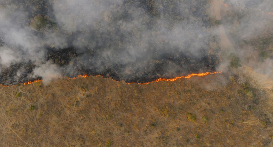 Vague de chaleur et risque maximal d’incendie dans le continent (et autres infos)