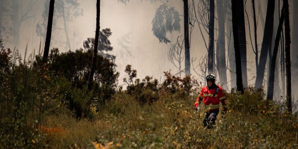 Incendies de forêt: le district de Leiria en tête des arrestations de la GNR
