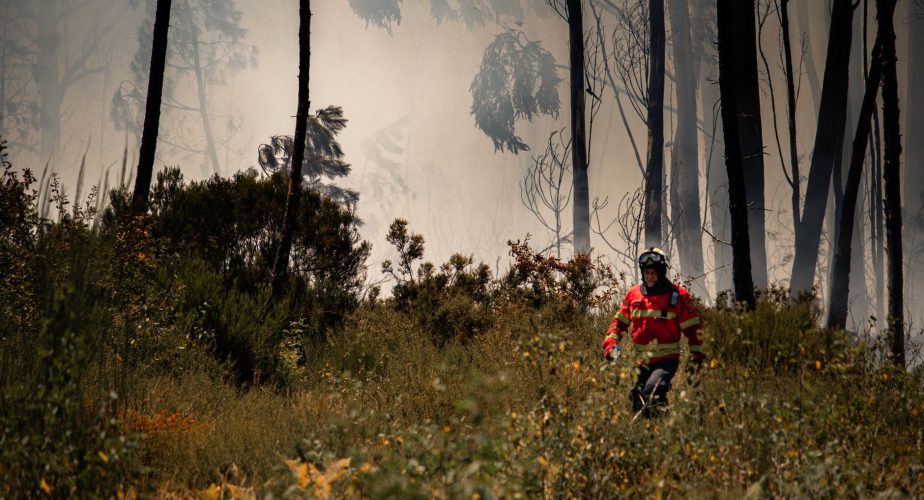 Incendies de forêt: le district de Leiria en tête des arrestations de la GNR