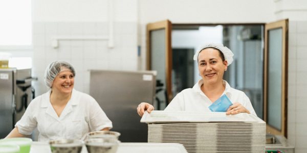 À Vagos, sept établissements scolaires suspendent les cours à cause d’une infestation de mouches