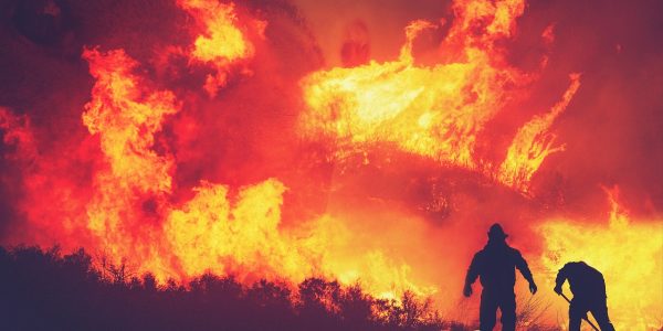 Incendies au Portugal: 67 130 hectares brûlés, mais davantage de départs de feu en 2026