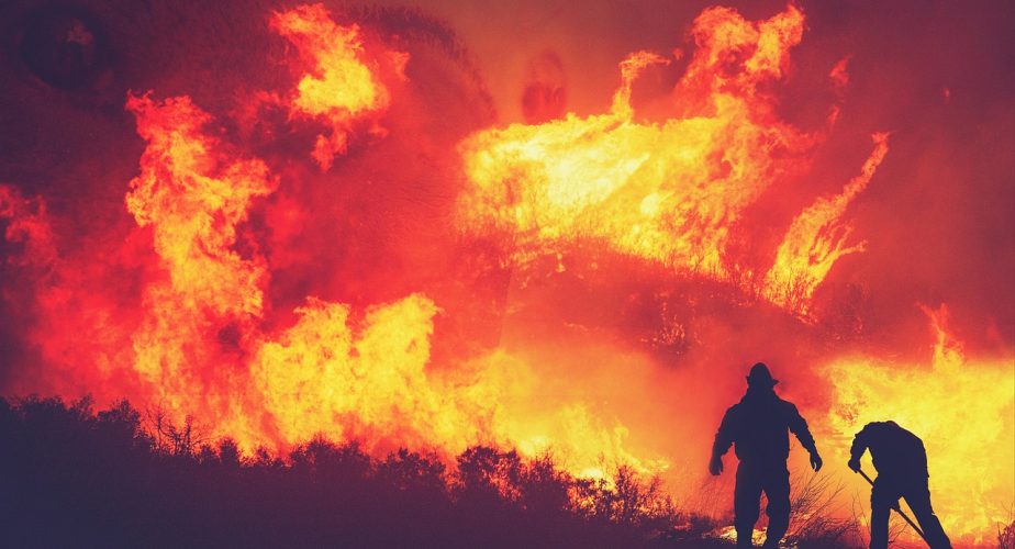 Incendies au Portugal: 67 130 hectares brûlés, mais davantage de départs de feu en 2026