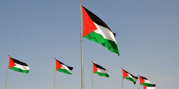 drapeau palestine