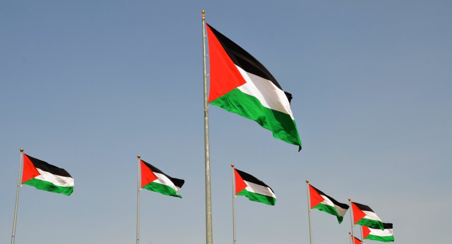 drapeau palestine