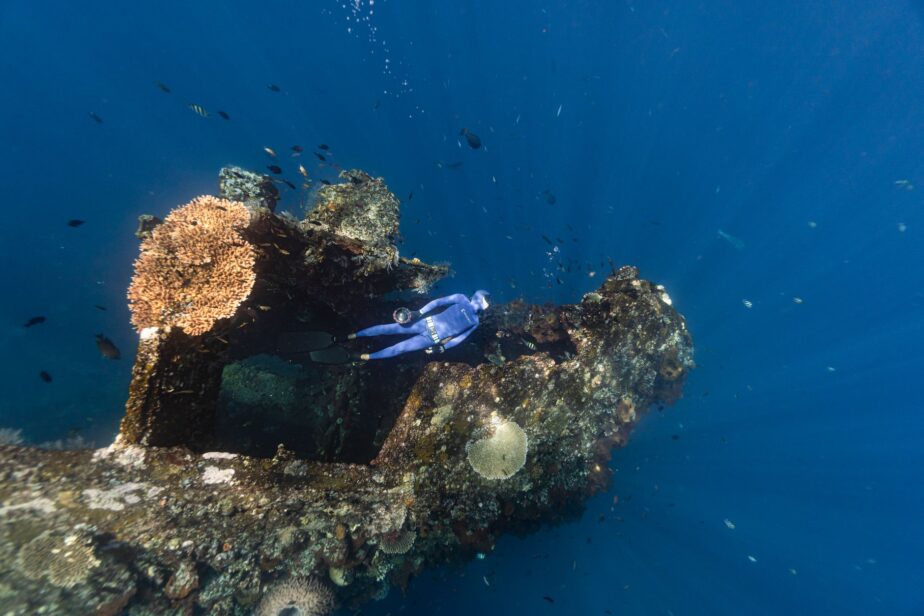 Un plongeur observe une épave recouverte de corail sous l’eau.