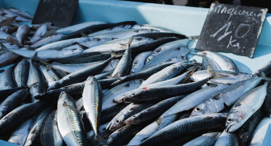 Matosinhos mise sur la mer pour devenir une référence gastronomique internationale