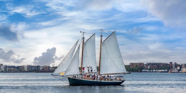 Porto donne son feu vert à The Ocean Race jusqu’en 2040