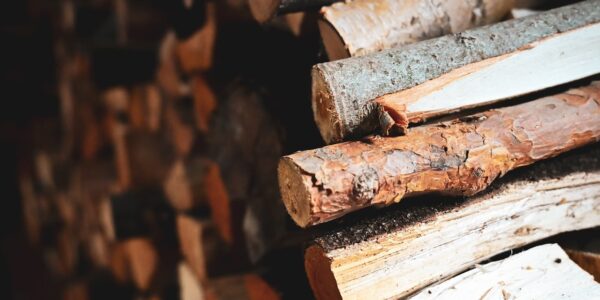 Prix du bois de chauffage au Portugal: quand reste-t-il économique